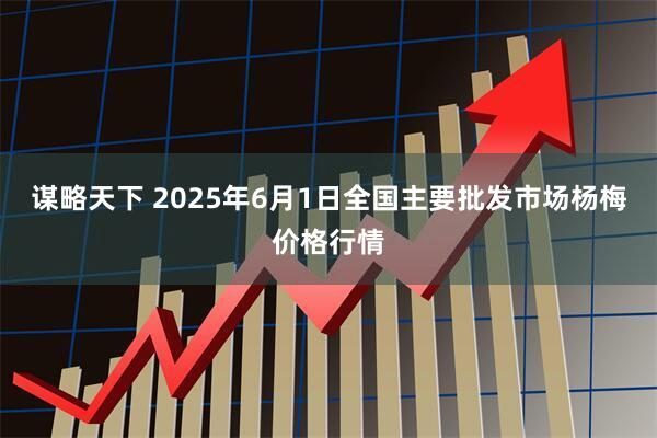 谋略天下 2025年6月1日全国主要批发市场杨梅价格行情