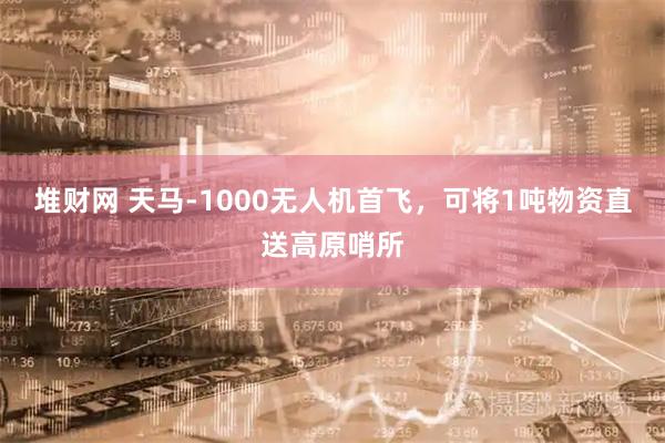 堆财网 天马-1000无人机首飞，可将1吨物资直送高原哨所