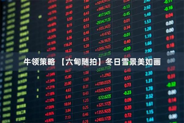 牛领策略 【六甸随拍】冬日雪景美如画