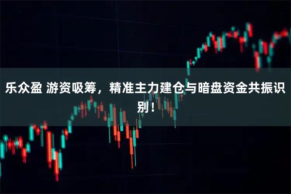 乐众盈 游资吸筹,精准主力建仓与暗盘资金共振识别!