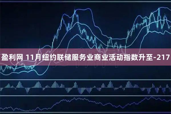 盈利网 11月纽约联储服务业商业活动指数升至-217